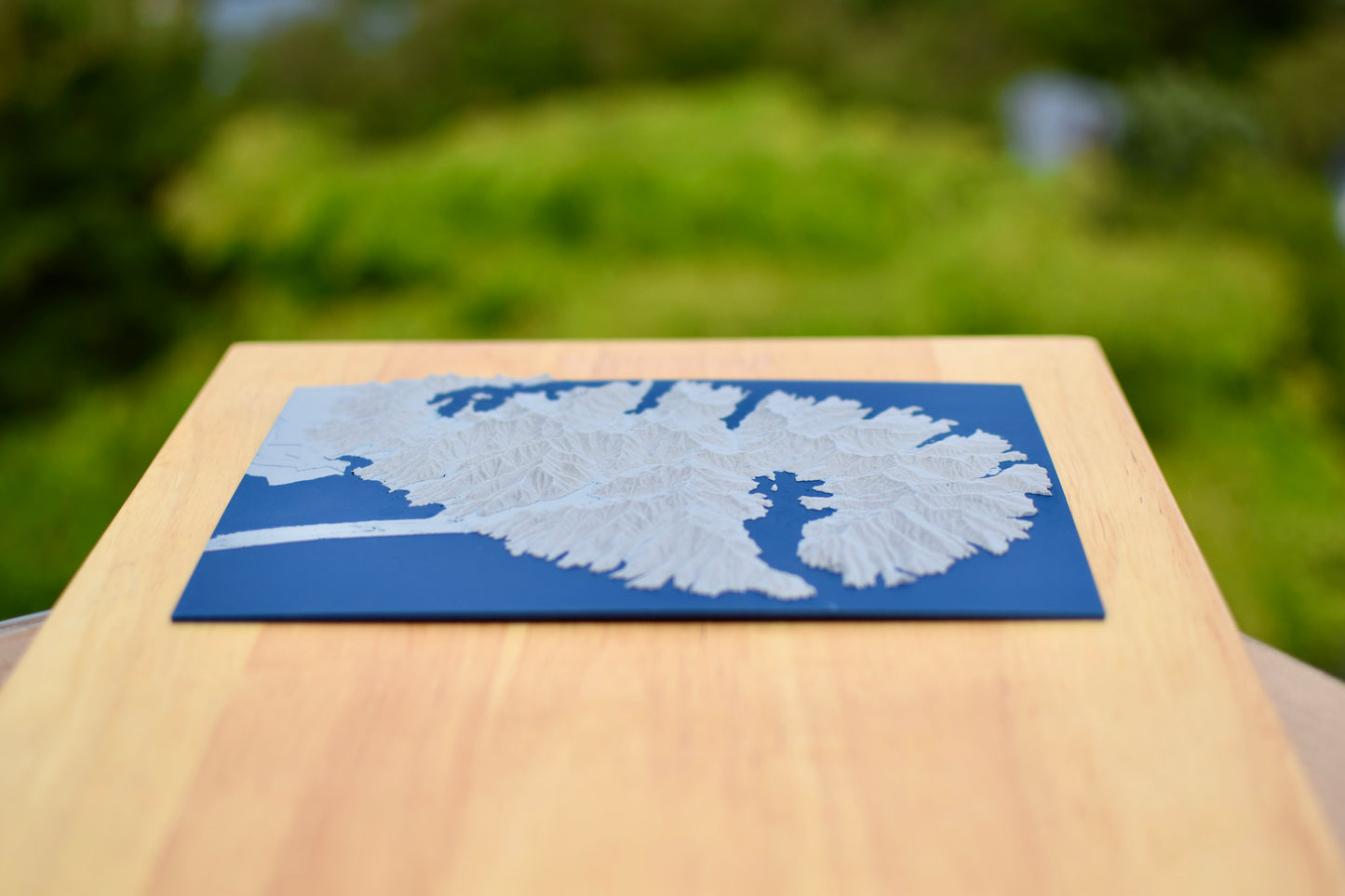 3D Landscape – Banks Peninsula