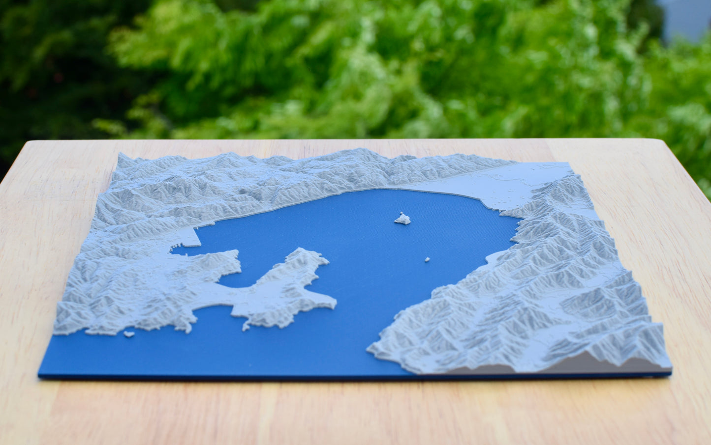 3D Landscape – Wellington