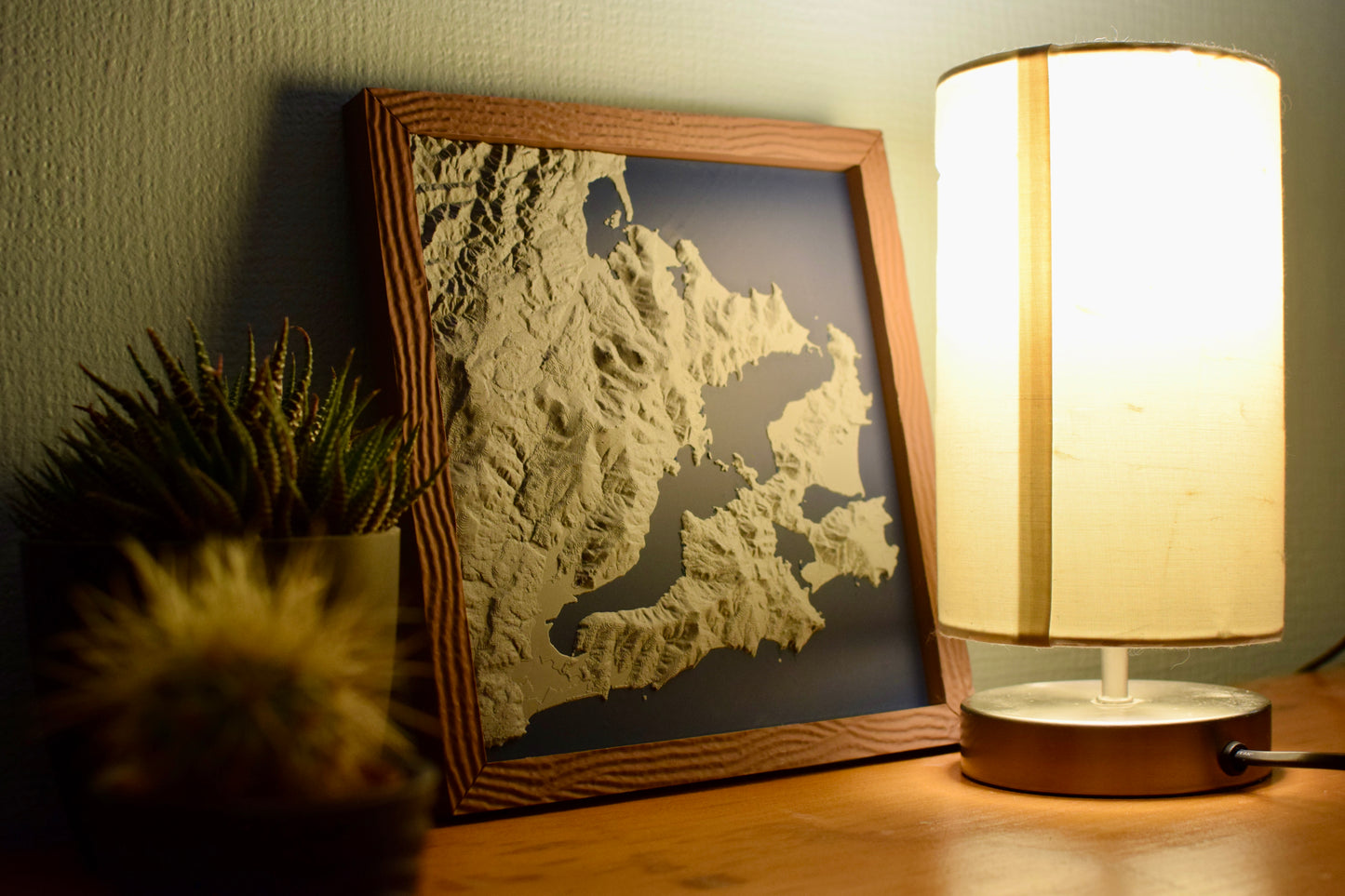 3D Landscape –  Otago Peninsula