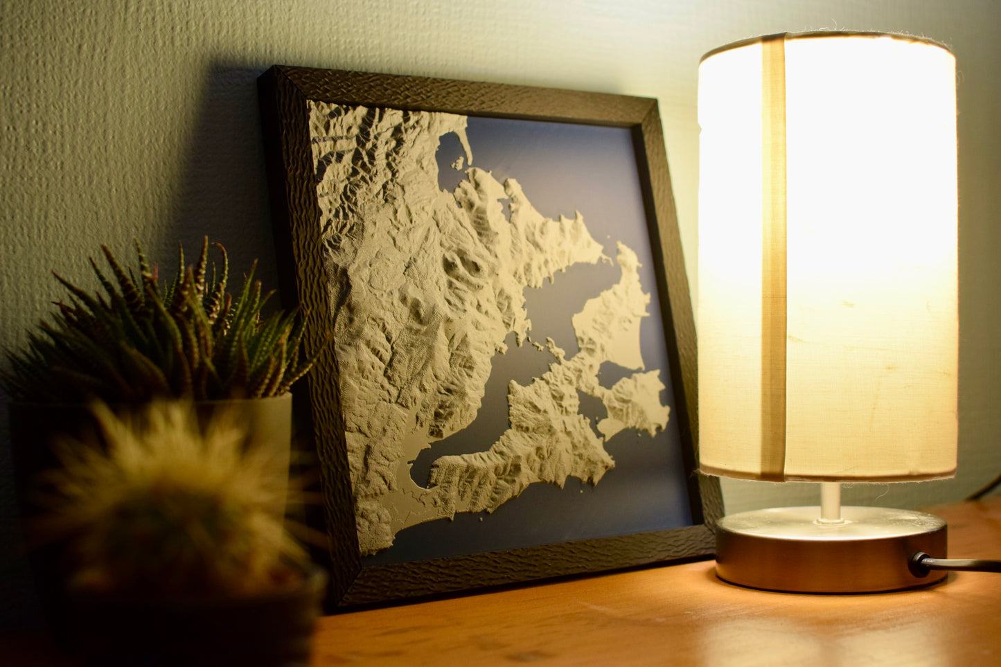 3D Landscape –  Otago Peninsula