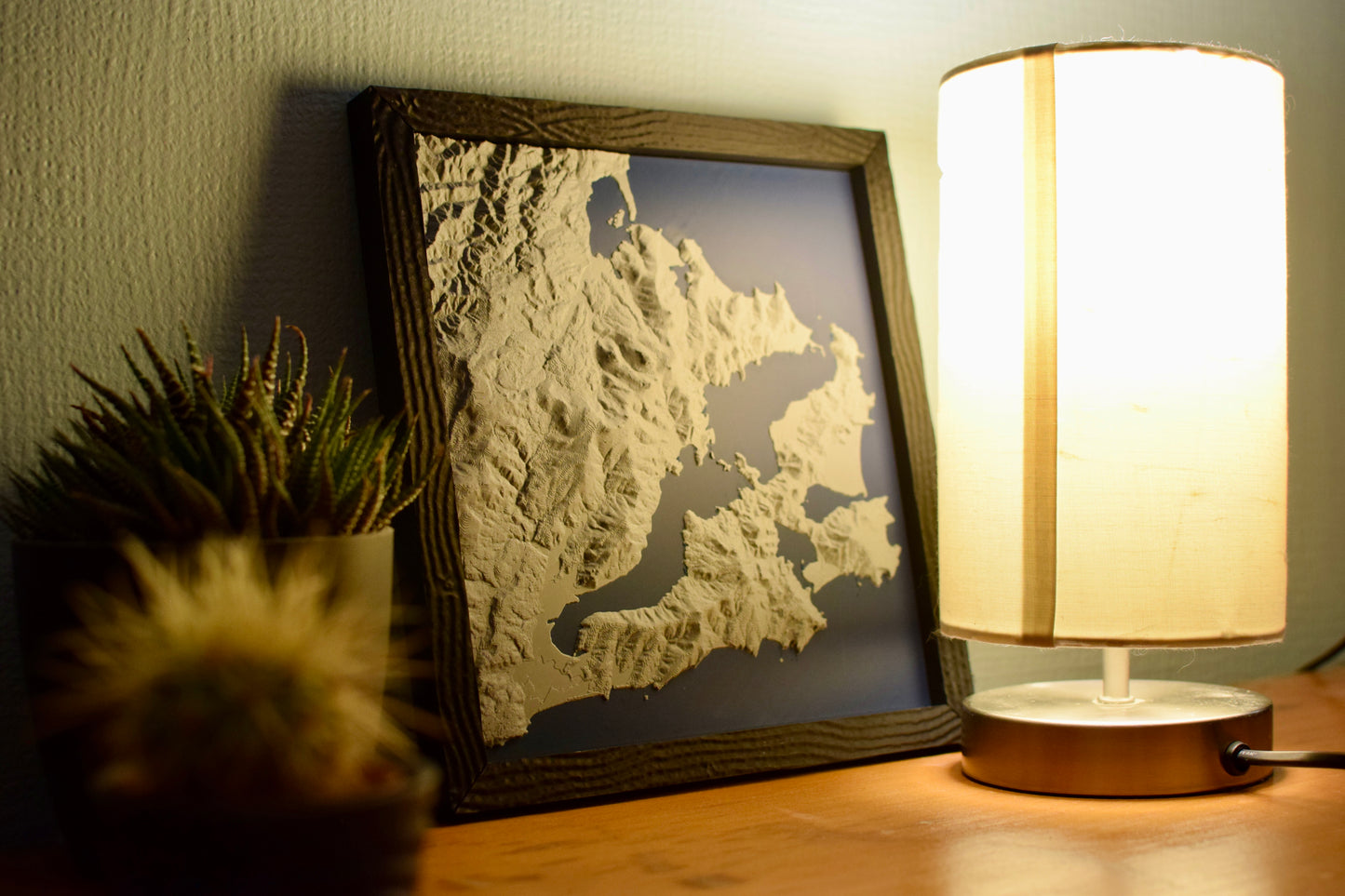 3D Landscape –  Otago Peninsula
